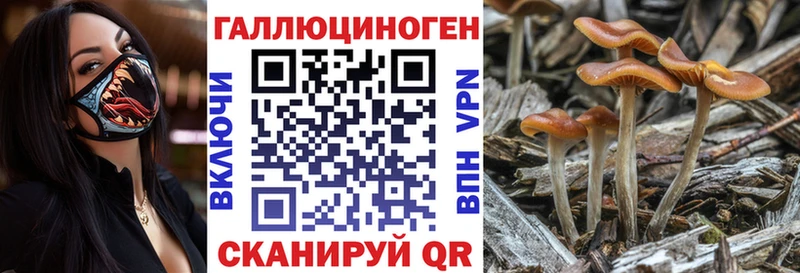 Псилоцибиновые грибы MAGIC MUSHROOMS  Суджа 